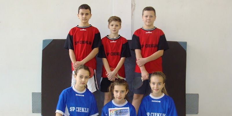 GMINNY TURNIEJ TENISA STOŁOWEGO GMINNY TURNIEJ TENISA STOŁOWEGO