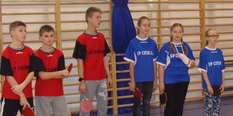 GMINNY TURNIEJ TENISA STOŁOWEGO GMINNY TURNIEJ TENISA STOŁOWEGO