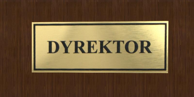 Konkursy na stanowisko dyrektora Konkursy na stanowisko dyrektora