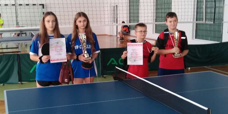Rozgrywki Szkolnej Ligi Tenisa Stołowego - PKS „Bartek” Dębowiec Rozgrywki Szkolnej Ligi Tenisa Stołowego - PKS „Bartek” Dębowiec