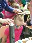 Piknik Rodzinny z nietypowymi książkami 