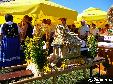Gminne dożynki w Łazach Dębowieckich
