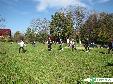 Rajd Nordic Walking Gmina Dębowiec