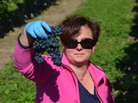 Kursanci PAW robią własne wina Kursanci PAW robią własne wina