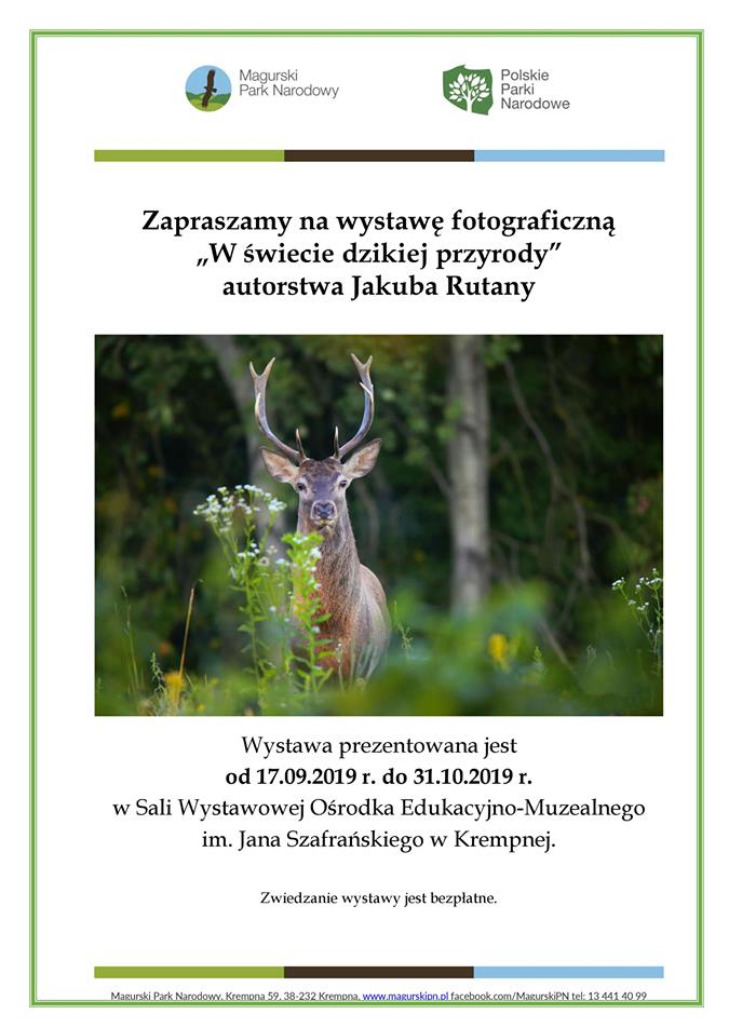 W świecie dzikiej przyrody - Jakub Rutana W świecie dzikiej przyrody - Jakub Rutana
