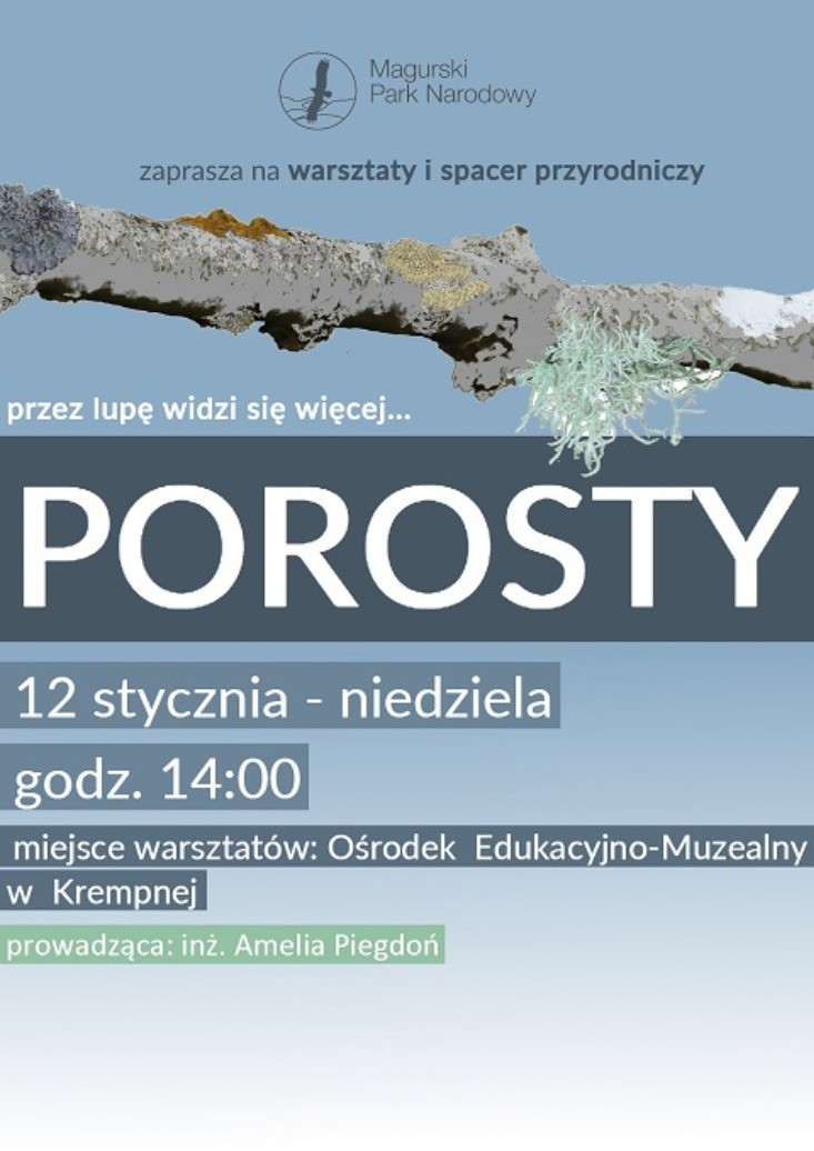 Przez lupę widzi się więcej, czyli... odkrywamy porosty! Przez lupę widzi się więcej, czyli... odkrywamy porosty!