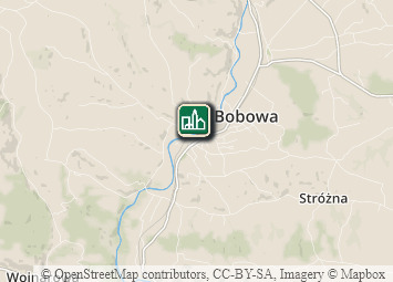 Mapa - Beskid Niski i Pogórze